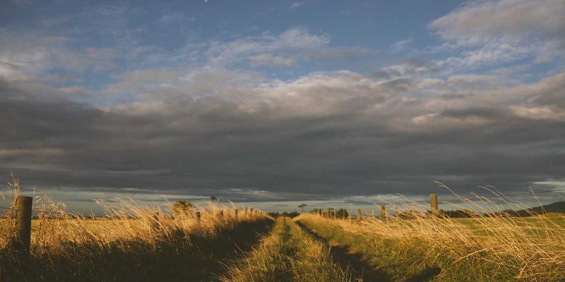 从海国图纸到力学奇迹：古代海堤与防波堤的结构设计智慧