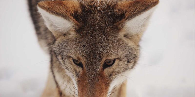 从海国图纸到赛博朋克：古代灯塔的航标智慧与现代建筑设计服务的未来启示