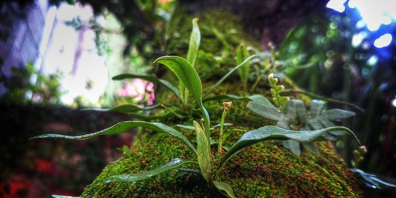 从海国图纸到赛博朋克建筑：古代海堤的流体力学设计启示