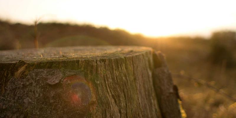 从海国图纸看古代水文测量与海岸线测绘：对现代建筑设计服务的启示