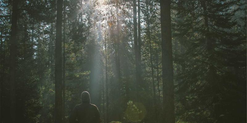 建筑设计视角下的文明对话：海国图纸与西方航海地图的对比研究