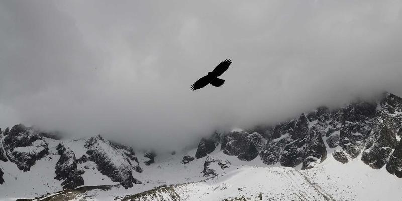 海国图纸50：赛博朋克建筑设计的未来蓝图与数字乌托邦构想