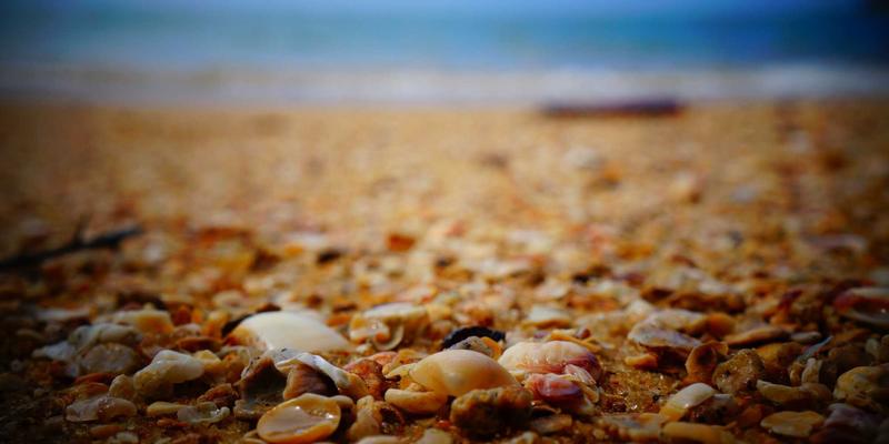 海国图纸54：赛博朋克建筑的东方解构与未来都市狂想