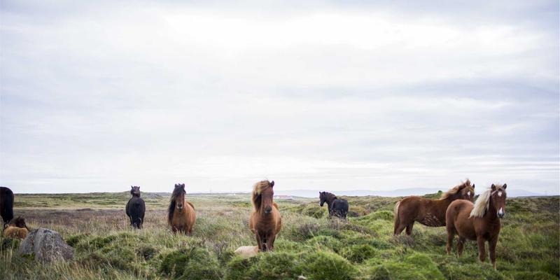 海国图纸59：从建筑方案到图纸设计的核心解析