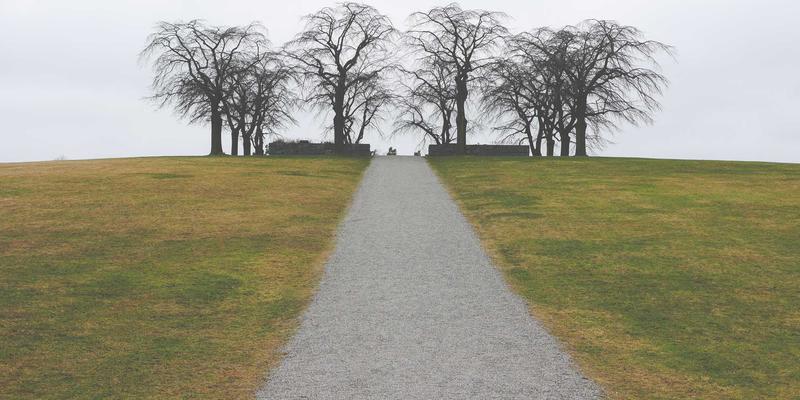 海国图纸中的水系智慧：解码古代滨海城市的供水、排水与防洪建筑设计