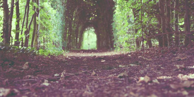 海国图纸入门：从概念到落地的设计服务全解析，探索赛博朋克建筑的未来构想