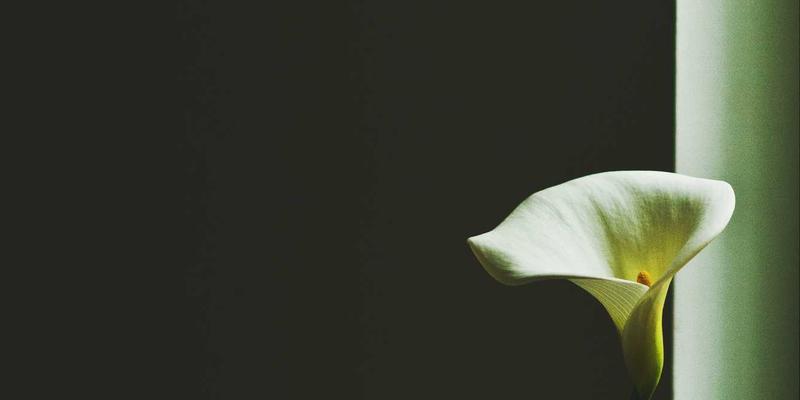 海国图纸启示录：解码古代干船坞与滑道，如何赋能赛博朋克建筑设计服务