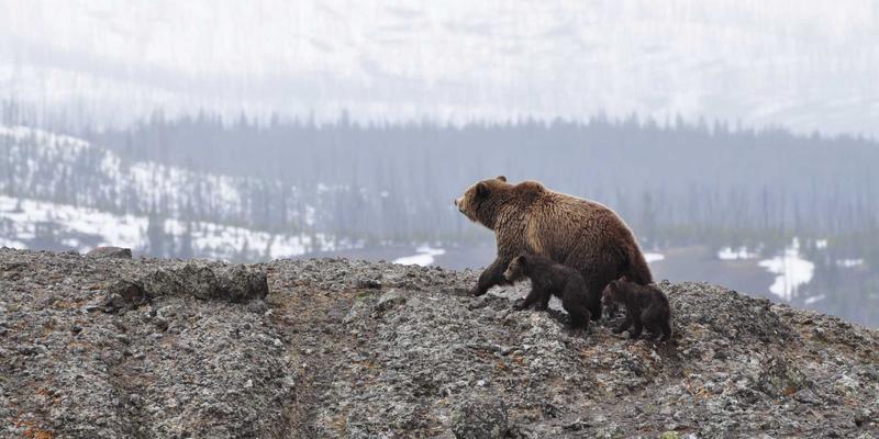 海国图纸：当代滨海景观建筑方案设计的灵感源泉与图纸设计新范式