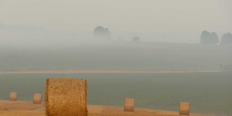 海国图纸揭秘：古代滨海军事预警体系的建筑方案与信息网络设计