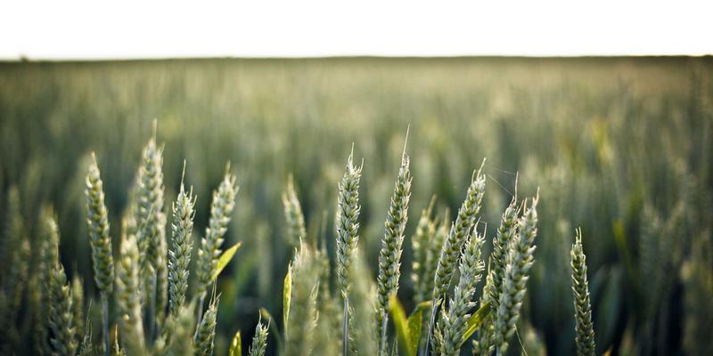 海国图纸揭秘：古代船舶修造厂遗迹中的建筑方案与技术支持体系