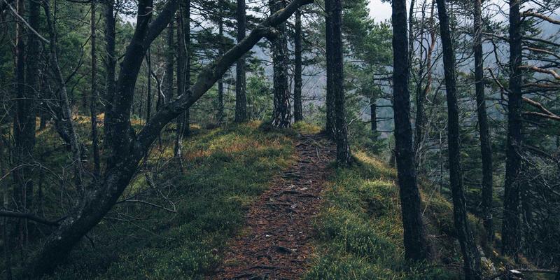 赛博朋克建筑中的神话图腾：海国图纸如何用设计服务重塑海洋信仰符号