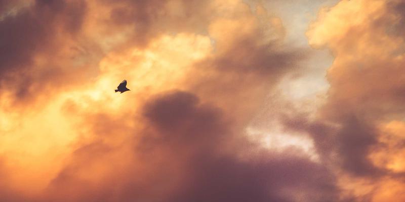 赛博朋克建筑灵感之源：解码《海国图纸》中的古代淡水收集系统设计智慧